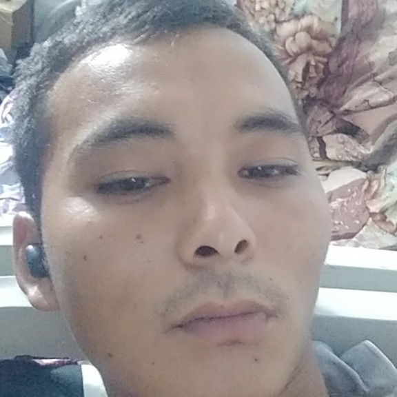 缥缈有红玫瑰的照片