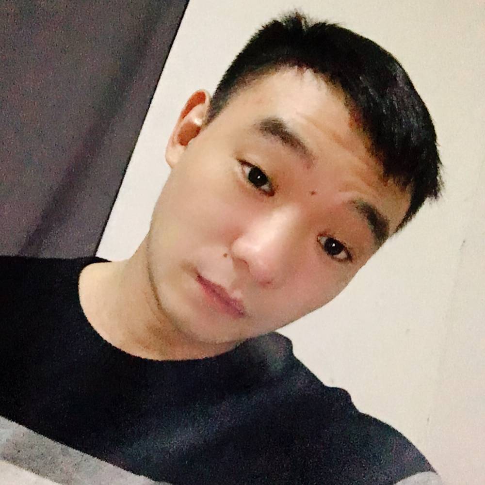 鸭子怕黑的照片