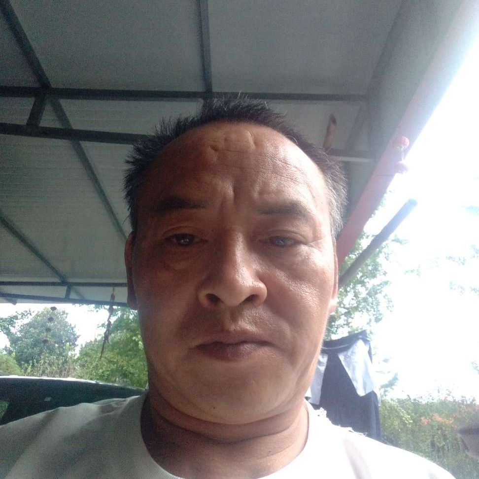 惊鸿那文静的照片