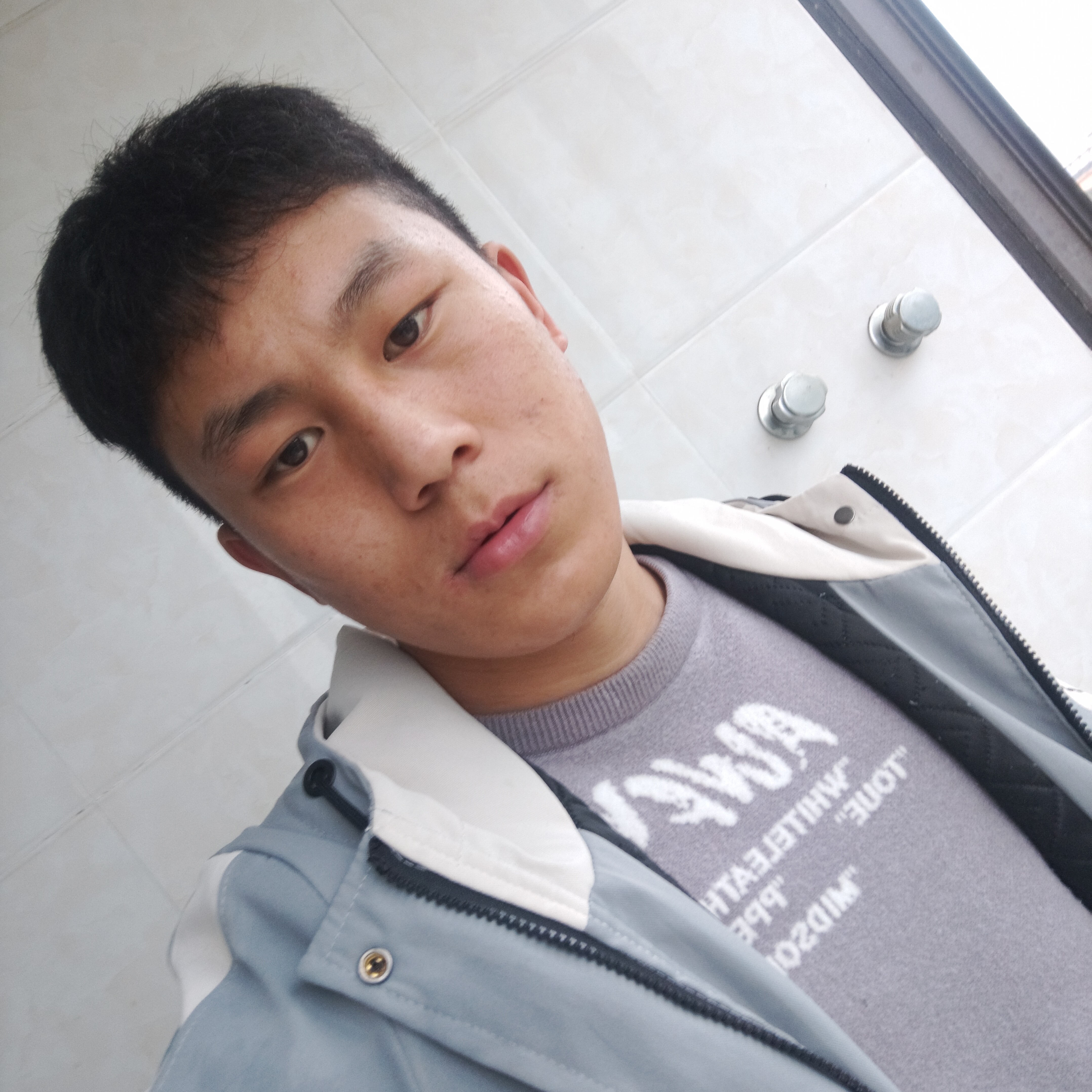 热狗蹙眉唠叨的照片