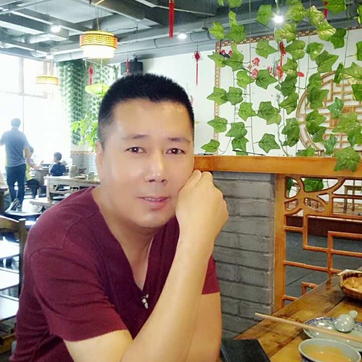 谨慎停止芝麻的照片