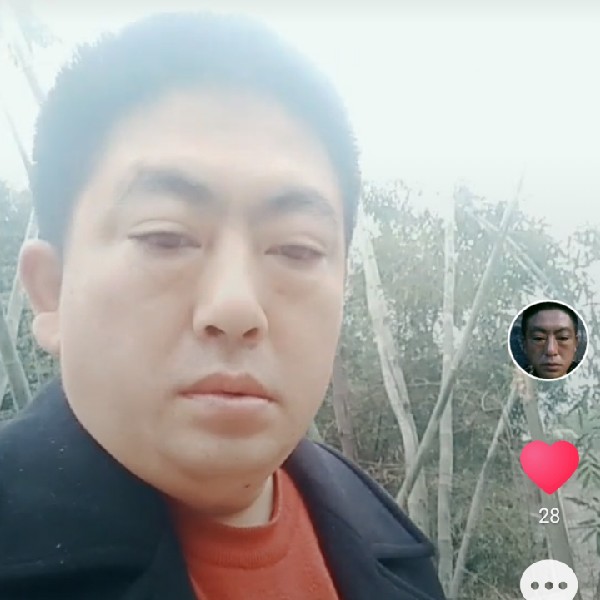 轻松回首的照片