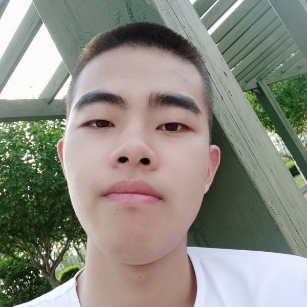 帅气的阿呆的照片