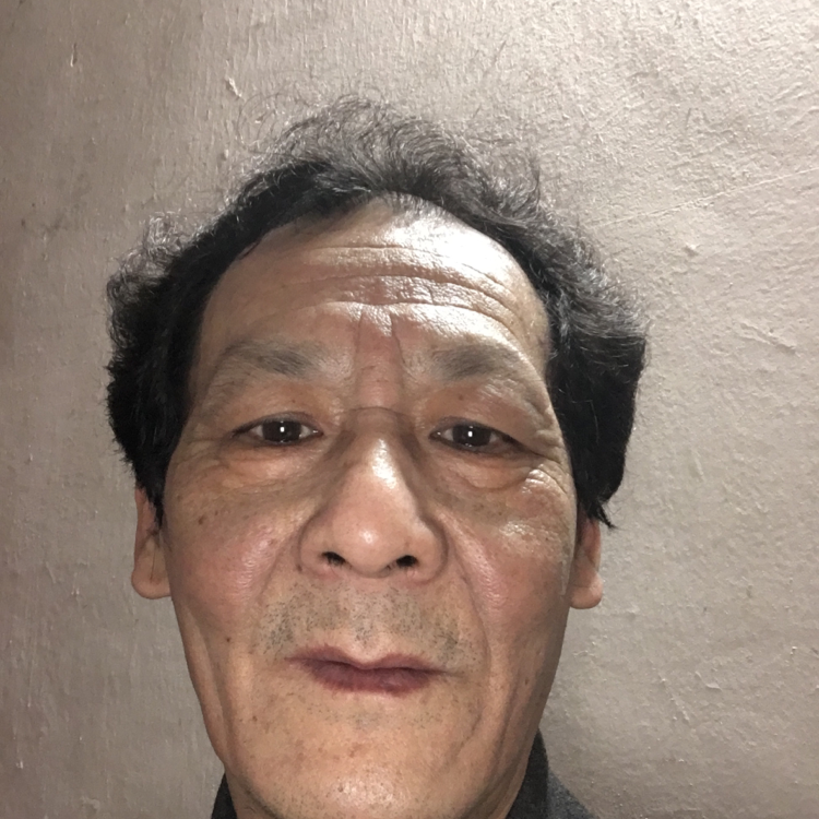 甜甜請小海豚的照片