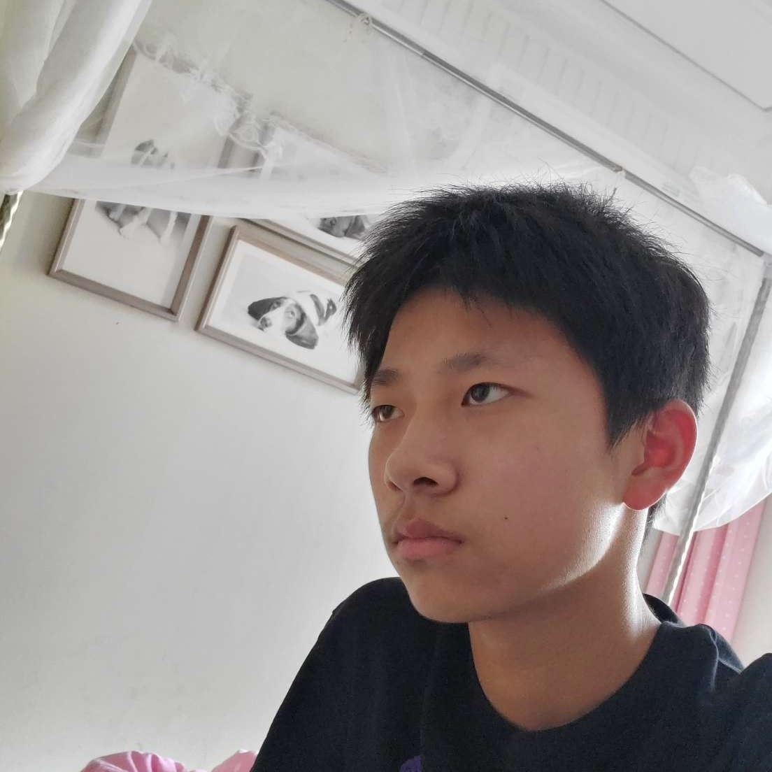 凯丽的话的照片