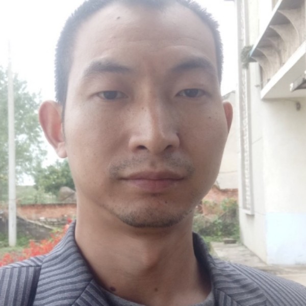 玉米和谐的照片