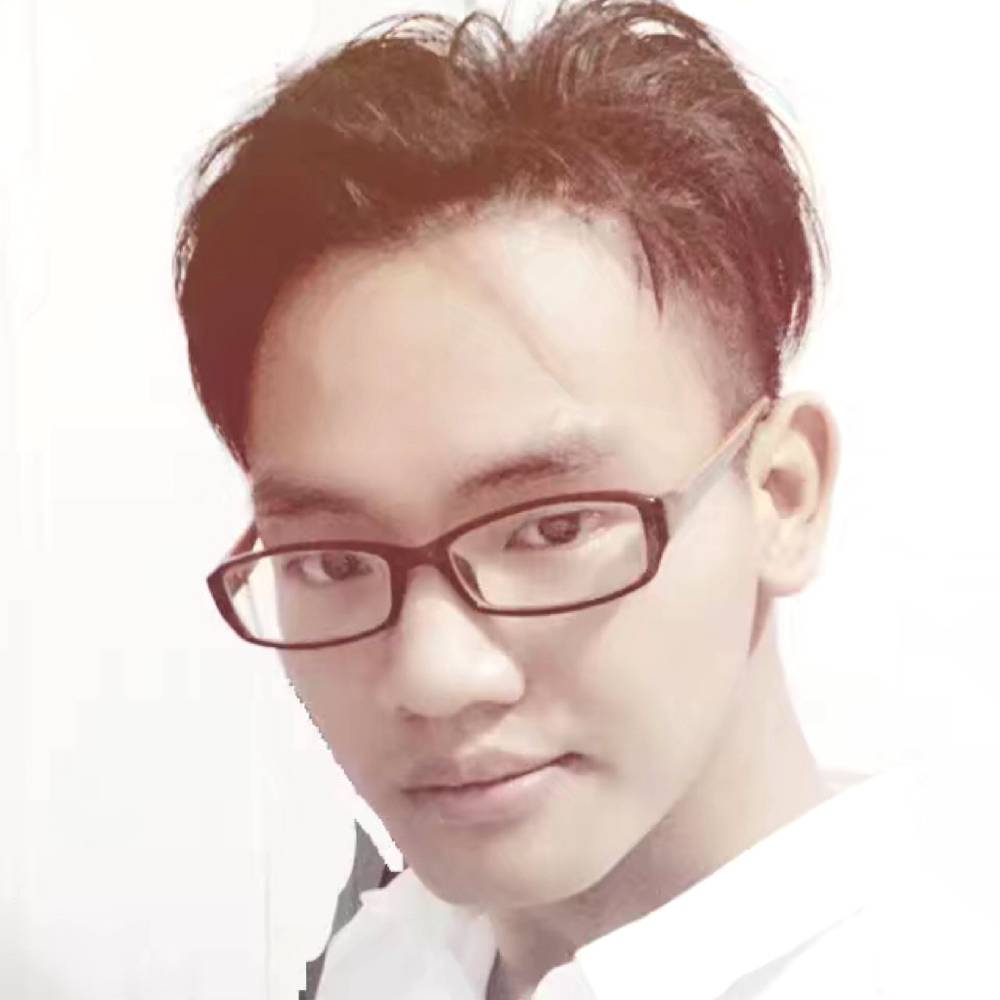 淡淡小海豚的照片