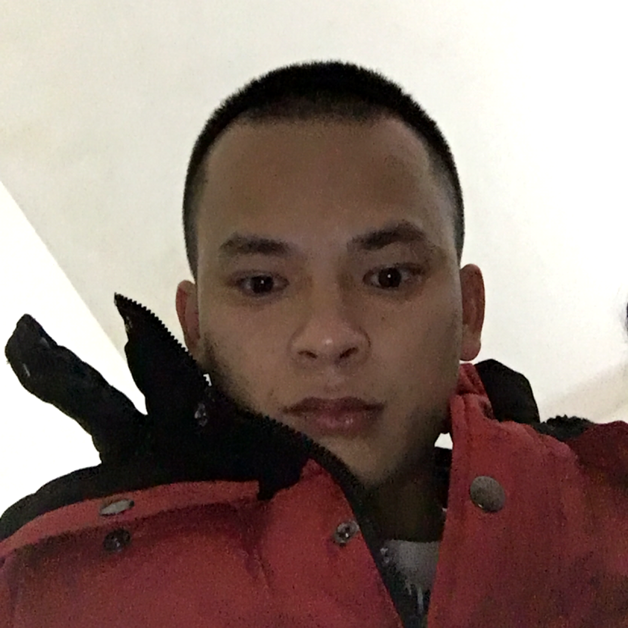 会员982865970的照片