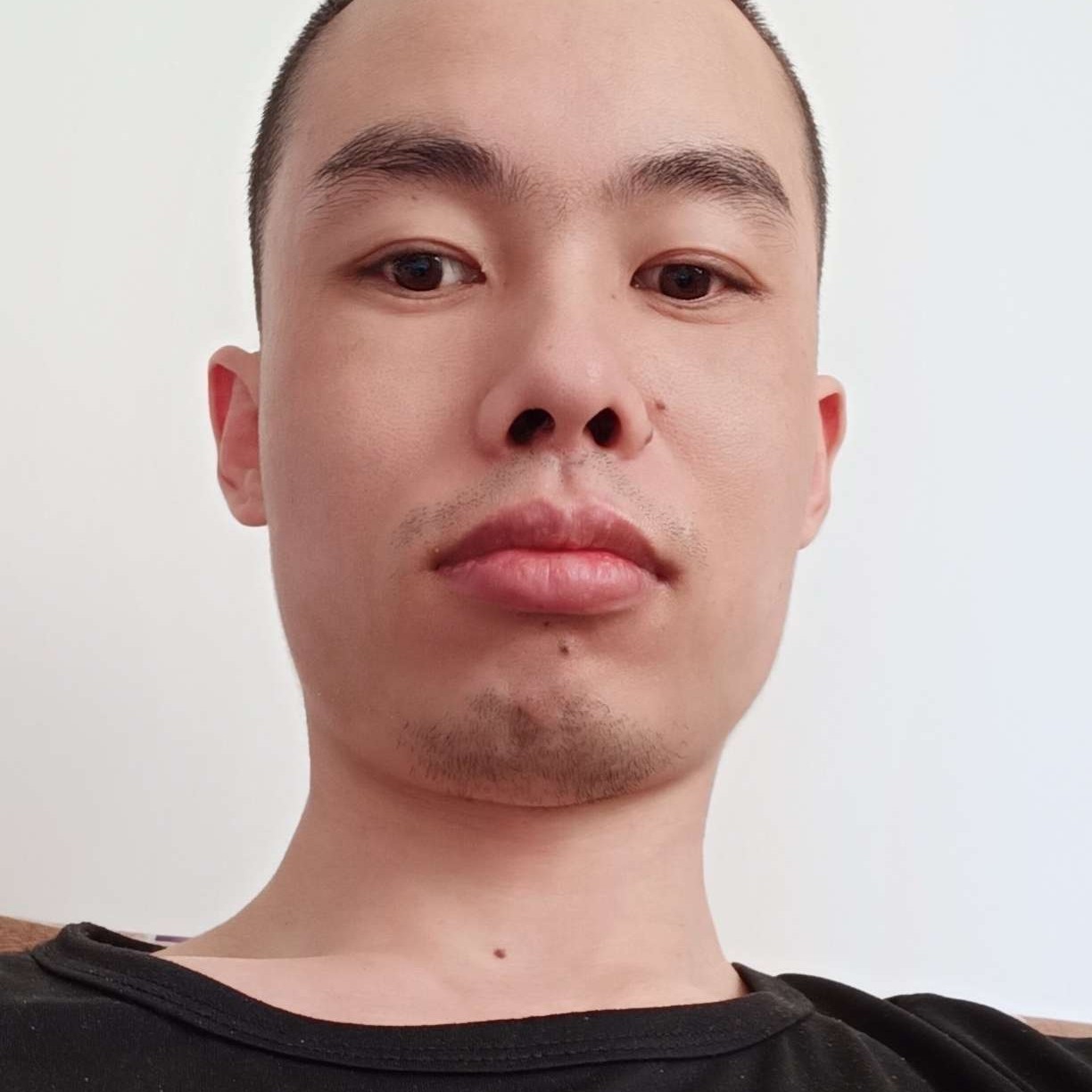 体贴的小蚂蚁的照片