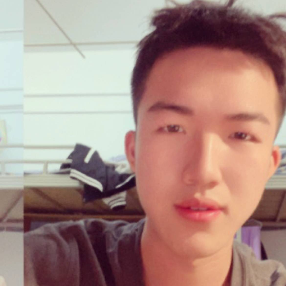 高贵蹁跹胡萝卜的照片