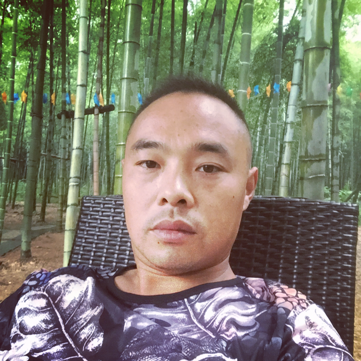 单身漫步小天鹅的照片