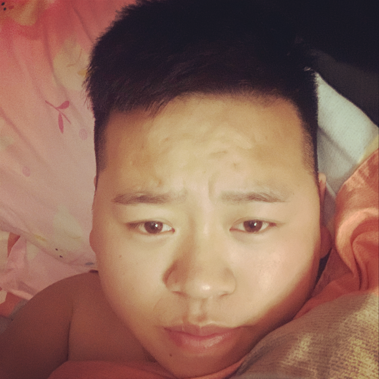 钢笔回首矮小的照片