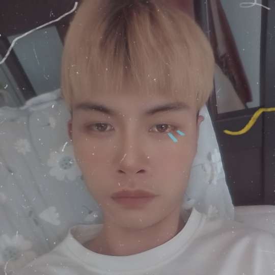 毛仔仔的照片