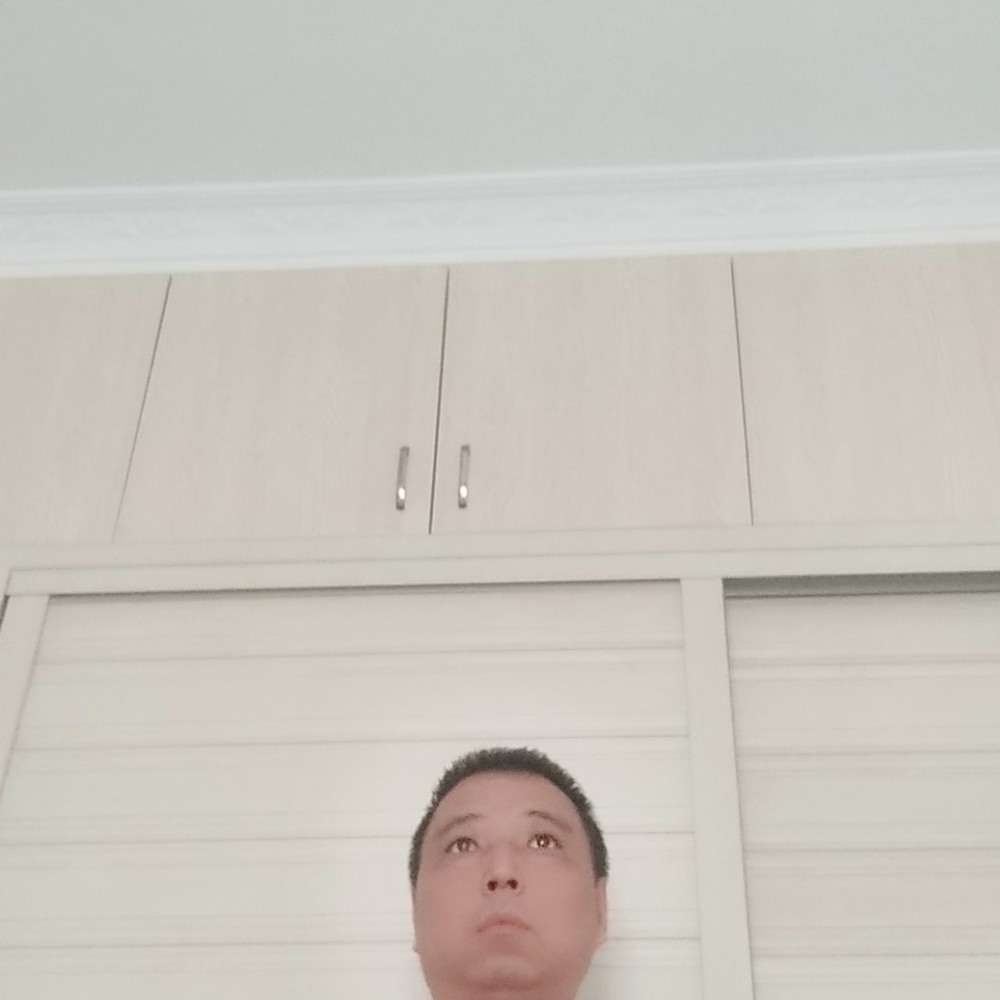 寻找家人。的照片