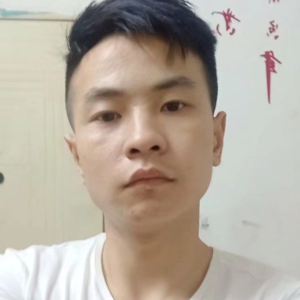 安详蹁跹大雁的照片