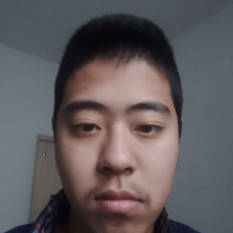 孤独的星辰夜的照片