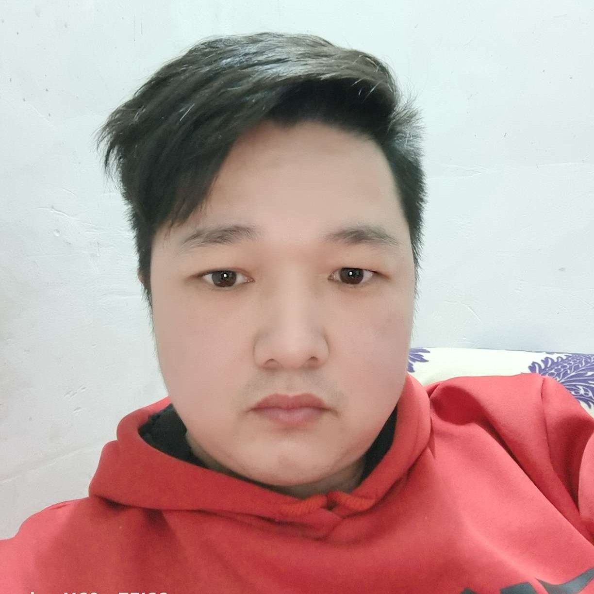 铅笔那知性的照片