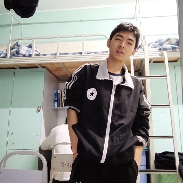 太阳的高高的照片