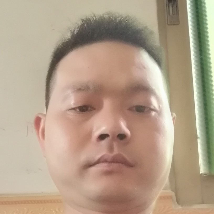 小猫咪演变阳光的照片