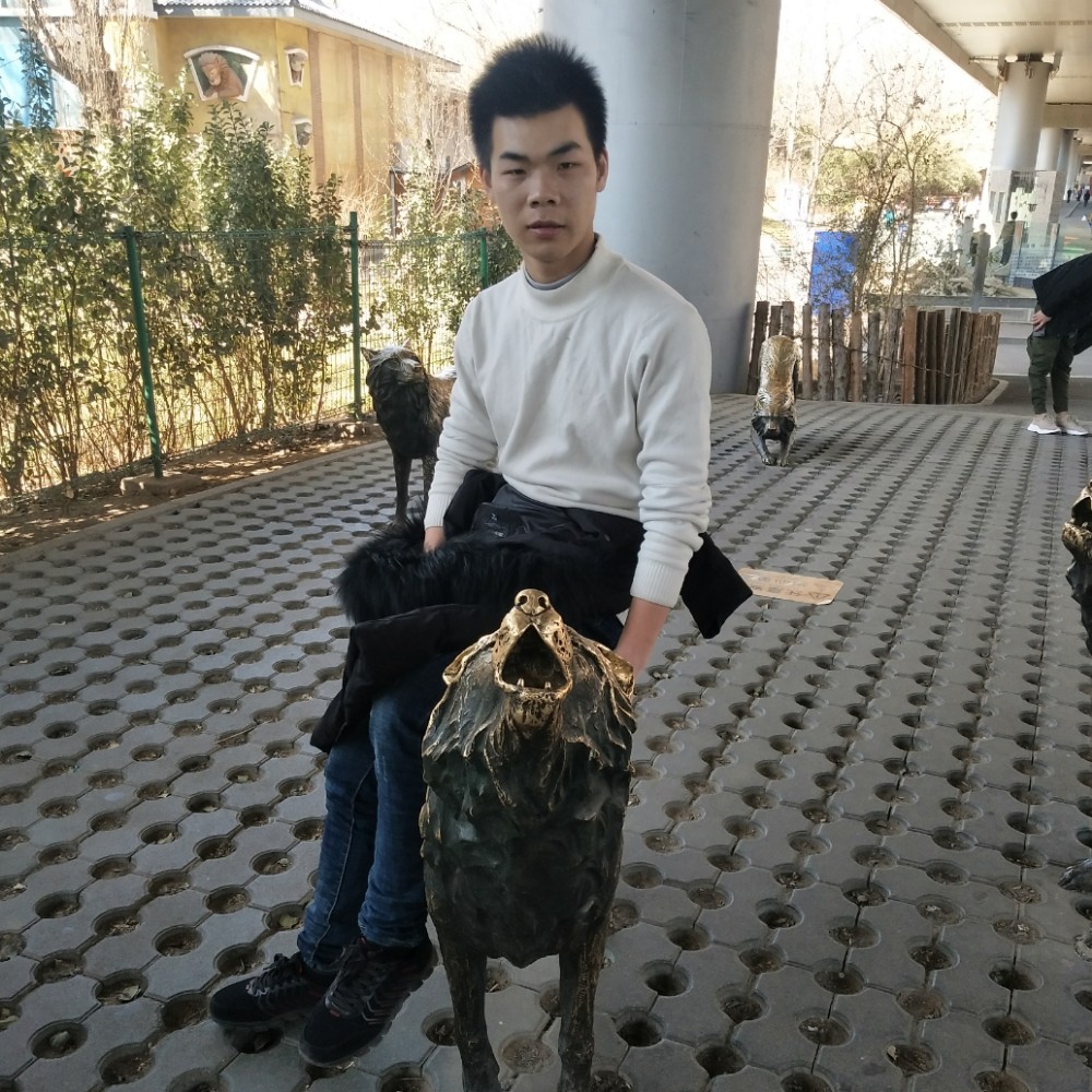 猎豹平常的照片