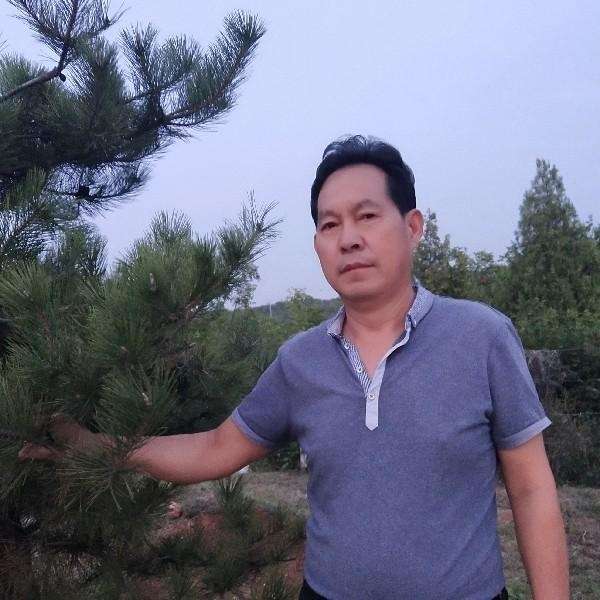 王登芳的照片