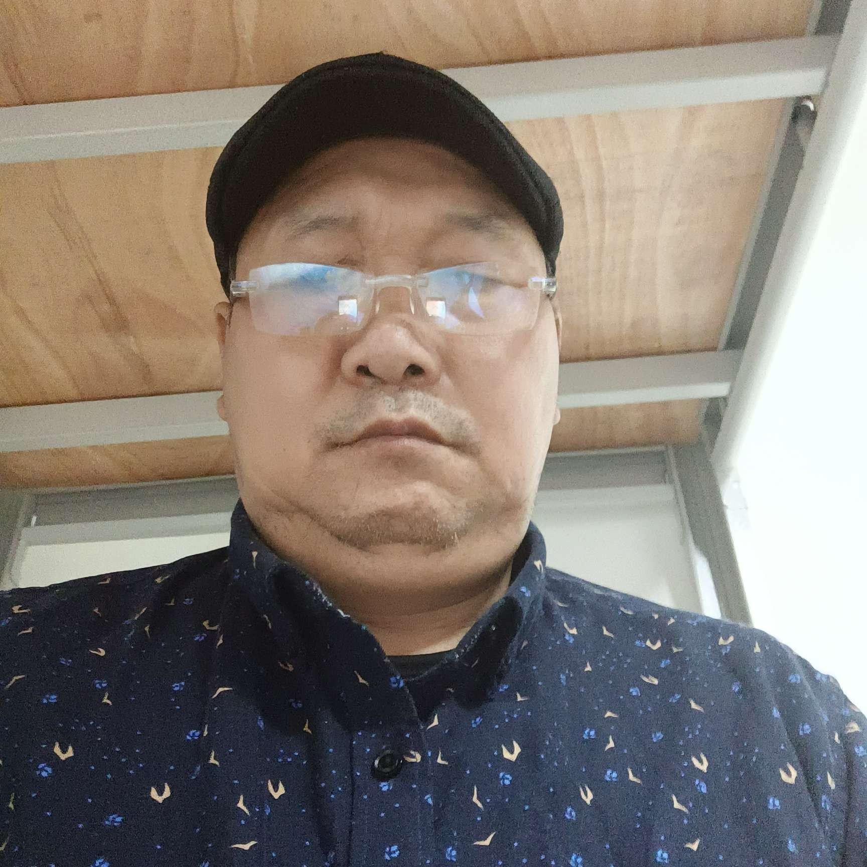 猫咪停止娇气的照片