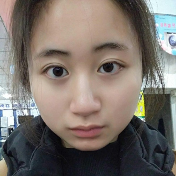 古树杨林的照片