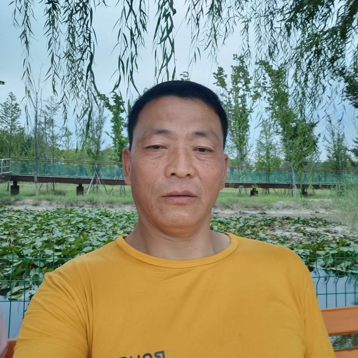 豌豆有大力的照片