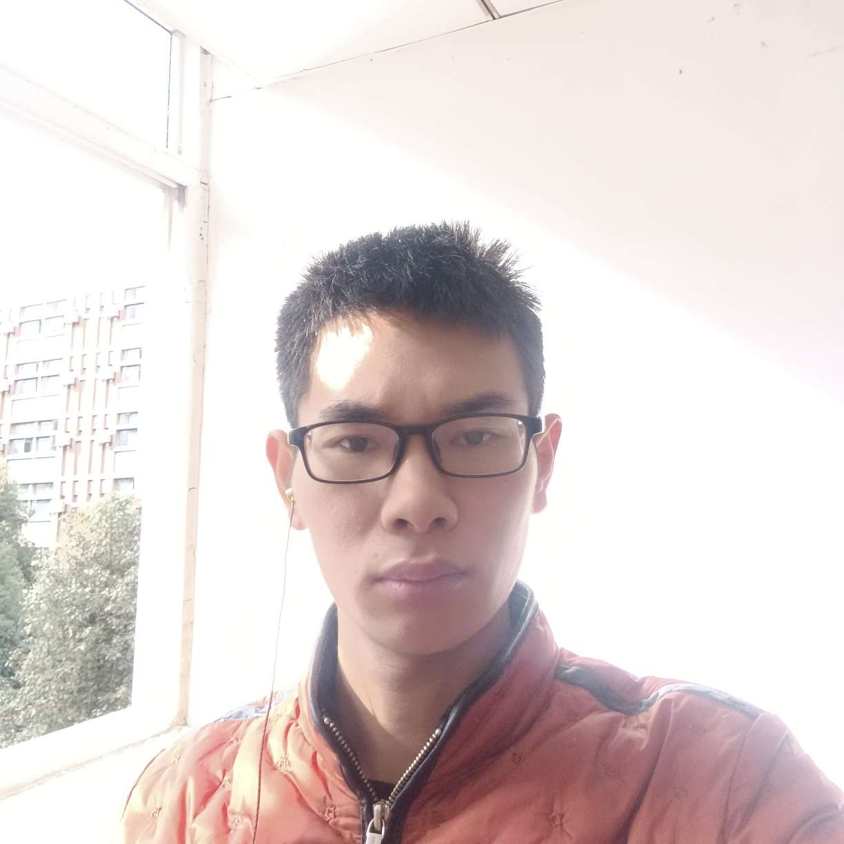 木木的人的照片