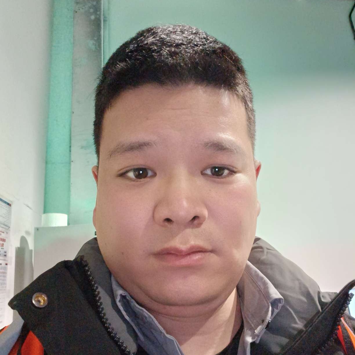 黑猫笑简单的照片