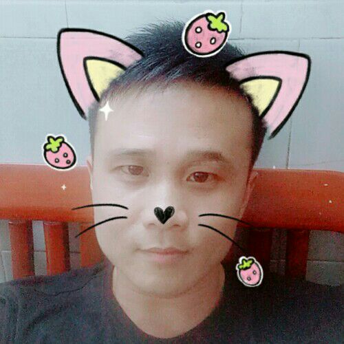 天罡秀星的照片