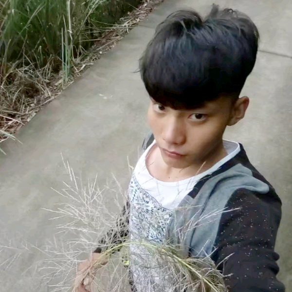 数据线向超帅的照片