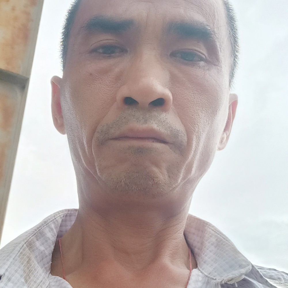 小蝴蝶蹁跹舒服的照片