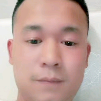 斑马深拥单薄的照片