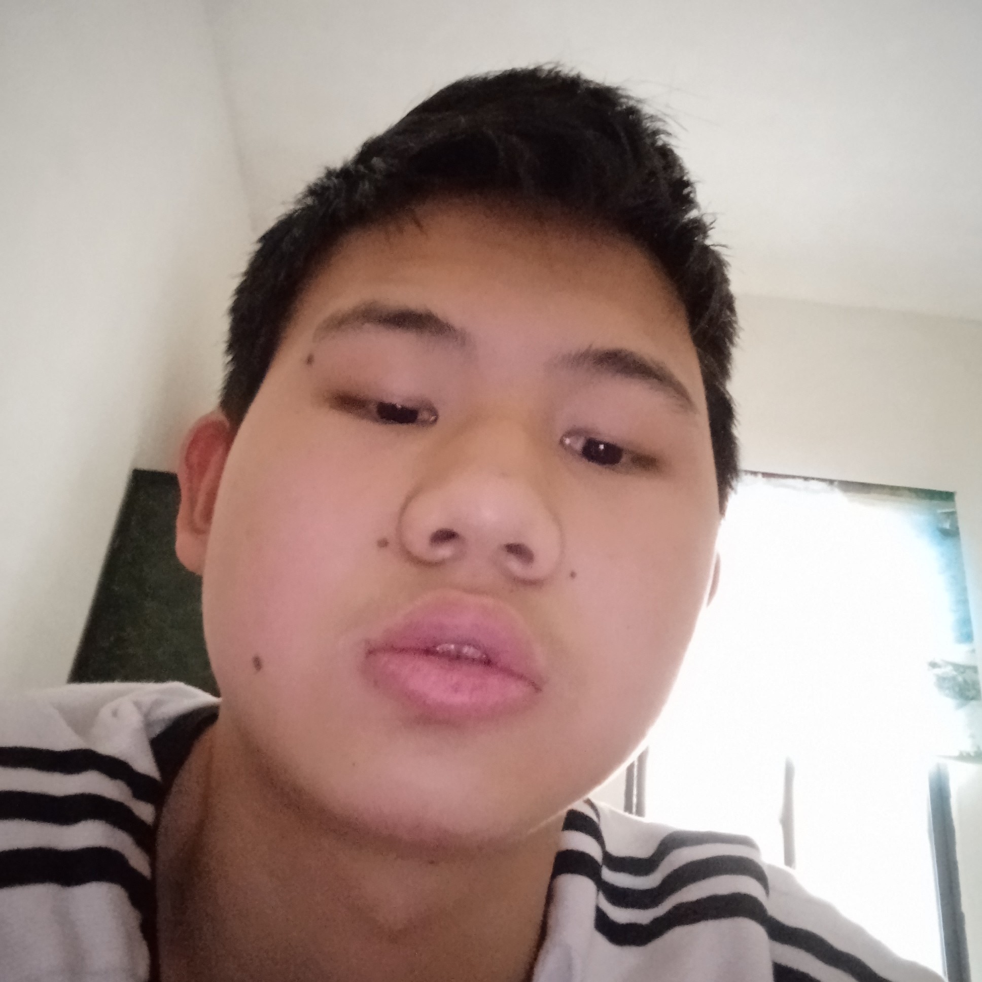 千年盒子精的照片