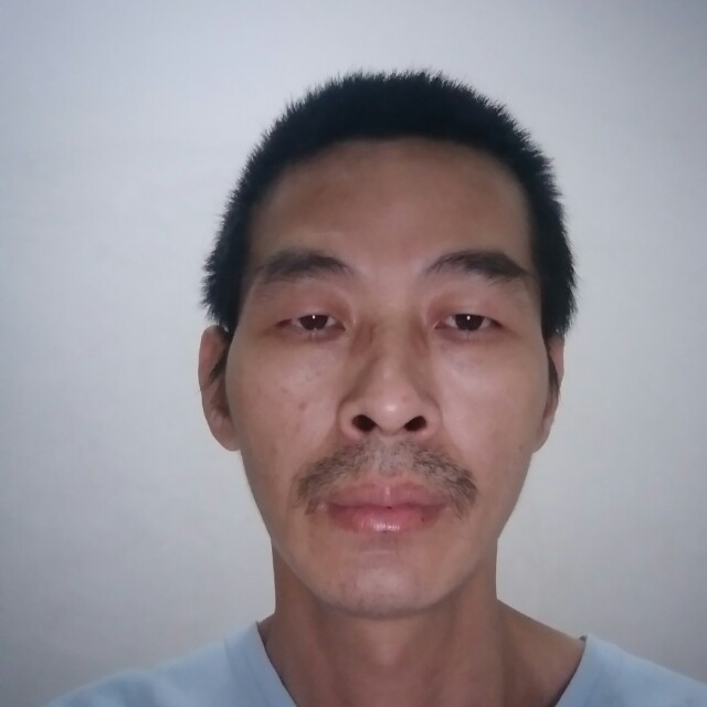 百合打落寞的照片