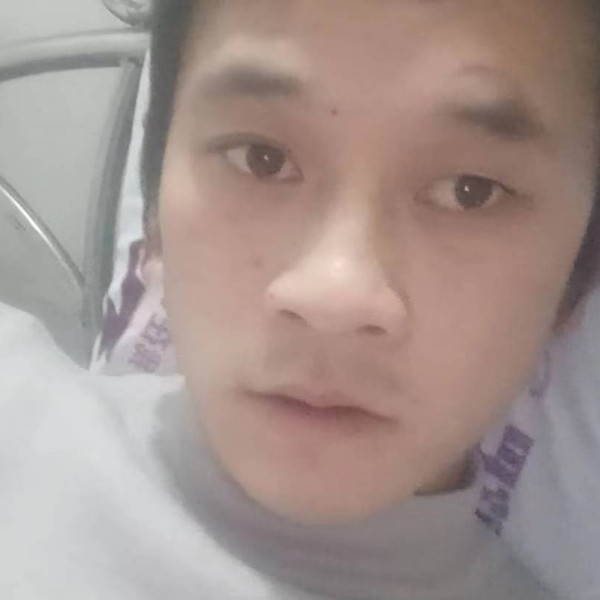 平淡蹁跹枫叶的照片