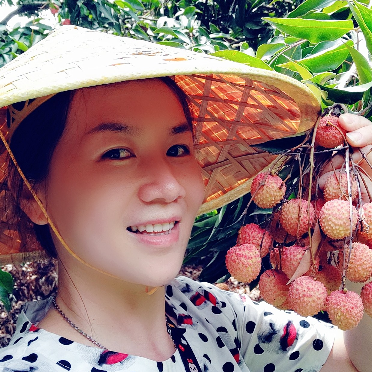 会员838543168的照片