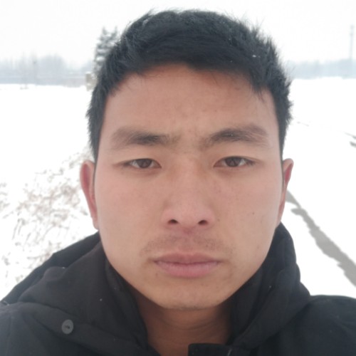 爱你一生.com的照片