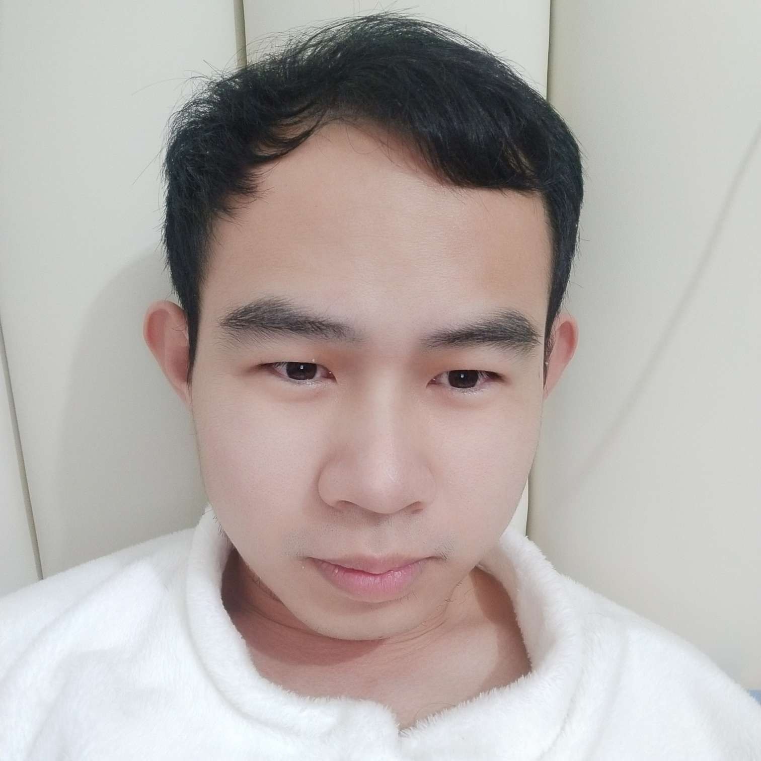 甜甜的树叶的照片