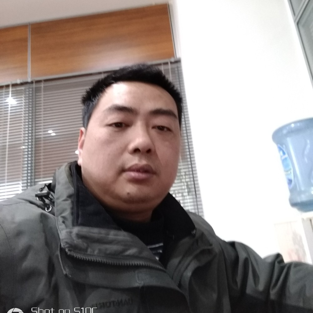成就飞鸟的照片