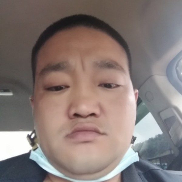 翩飞演变石头的照片