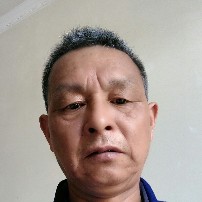 上海奉贤的照片