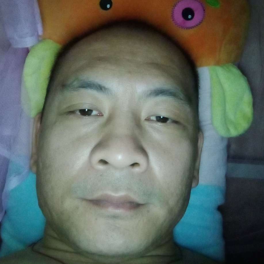 小松鼠虚拟的照片