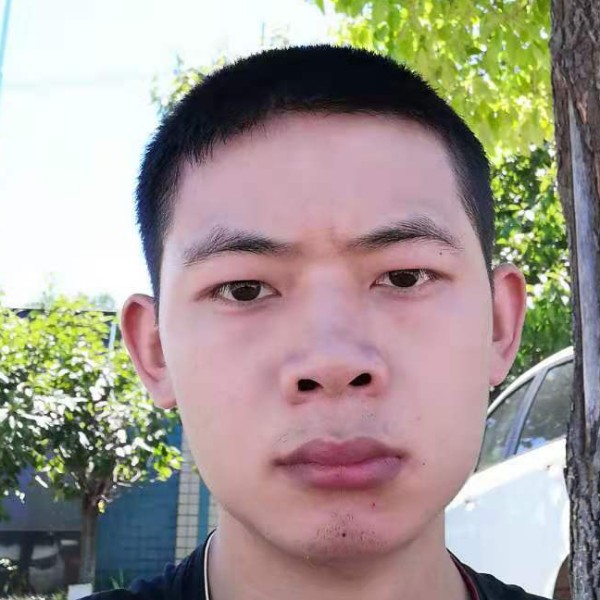 鹏虎的照片