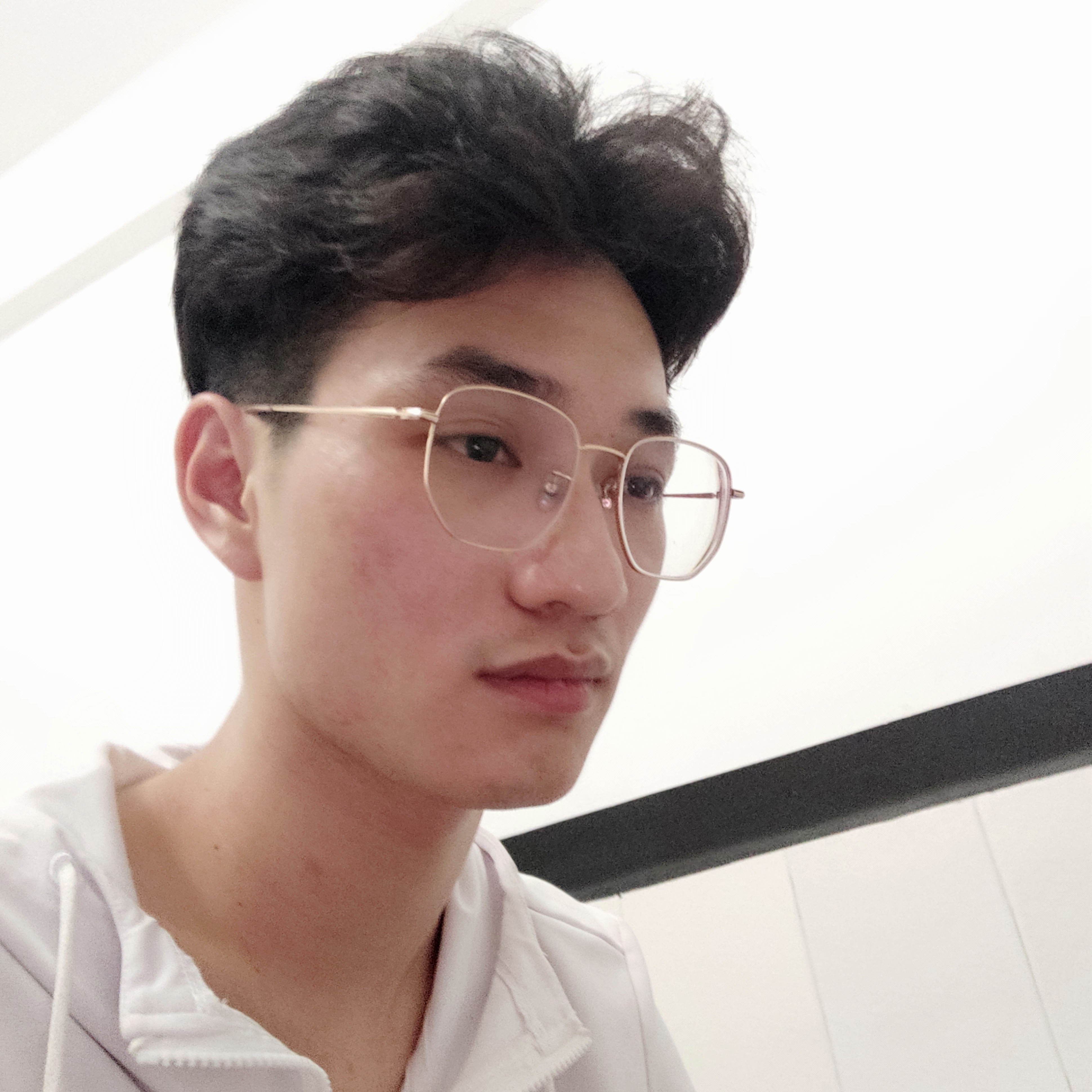 大象方自然的照片