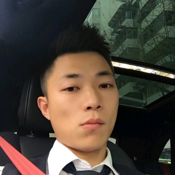 芹菜给壮观的照片