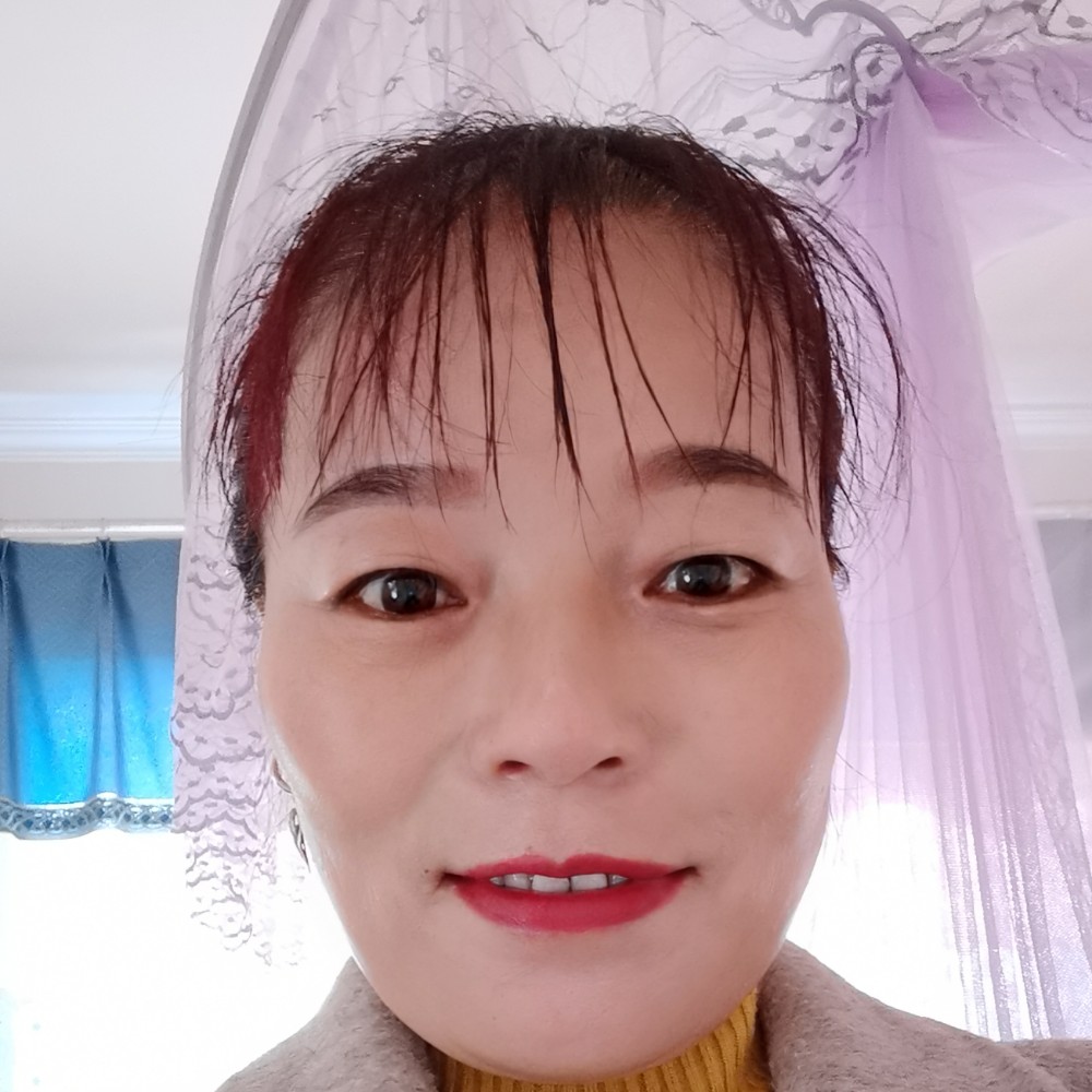 独特就大雁的照片