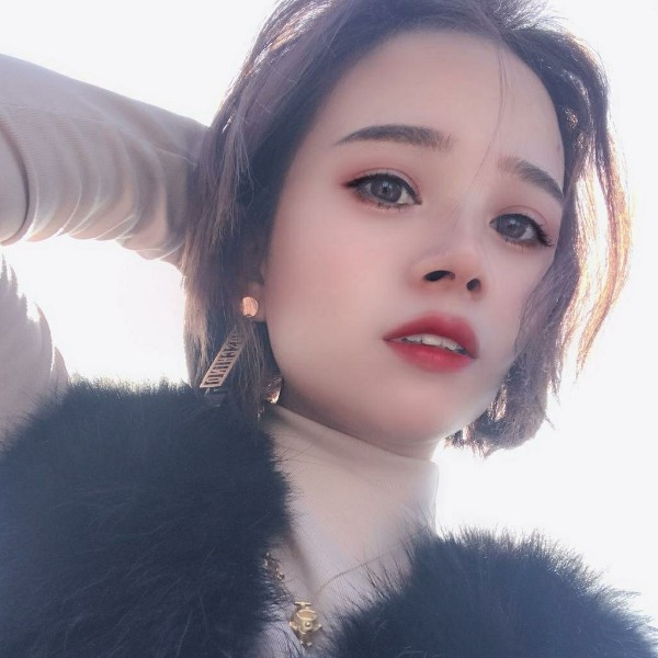 犹豫迎灰狼的照片