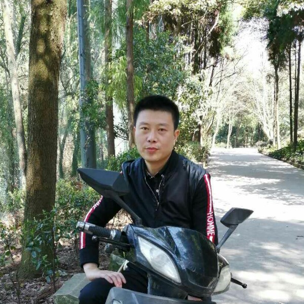 思域涂的照片